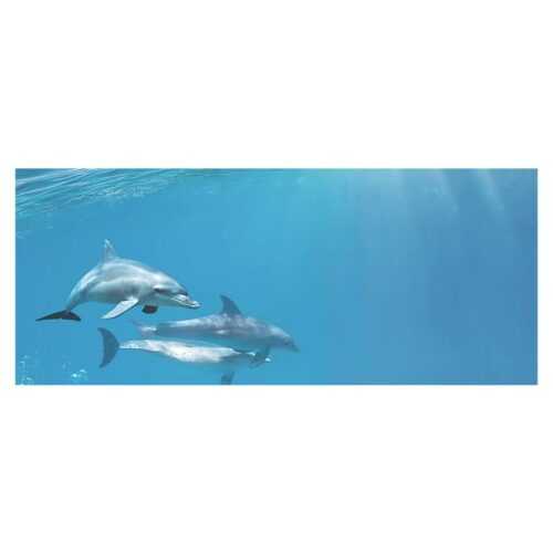 Dekor delfíni 1 centro 25/60 CERROL