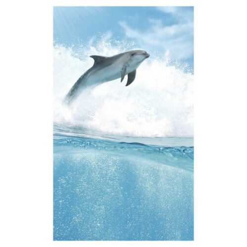 Dekor delfíni B - sada 100/60 CERROL