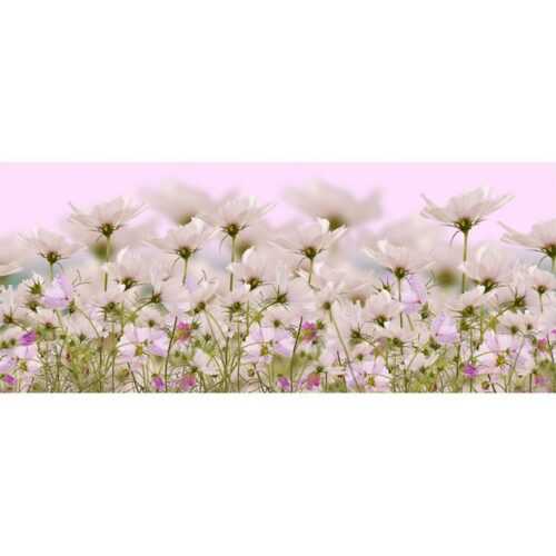 Dekor skl. bílé květiny 1 20/50 INNA