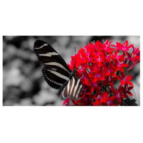 Dekor skleněný - motýl 30/60 INNA