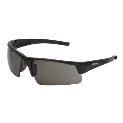 Ochranné brýle Sport Line tonované GEBOL