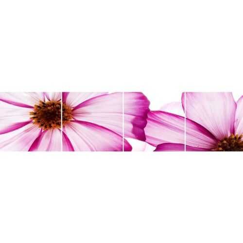 Skleněný panel 60/240 Flowers-1 4-Elem BAUMAX