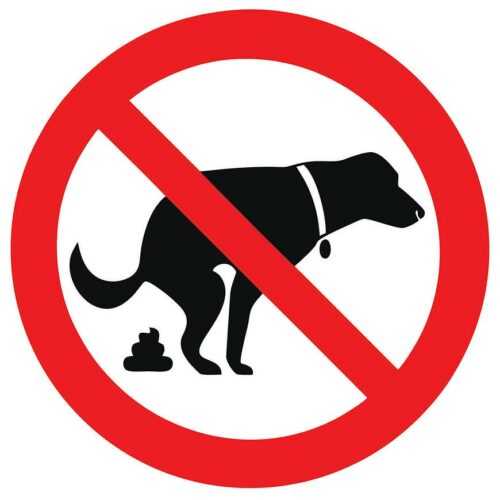 Zákaz venceni psu - samolepka 150x150 mm tl. 0.1 mm BAUMAX